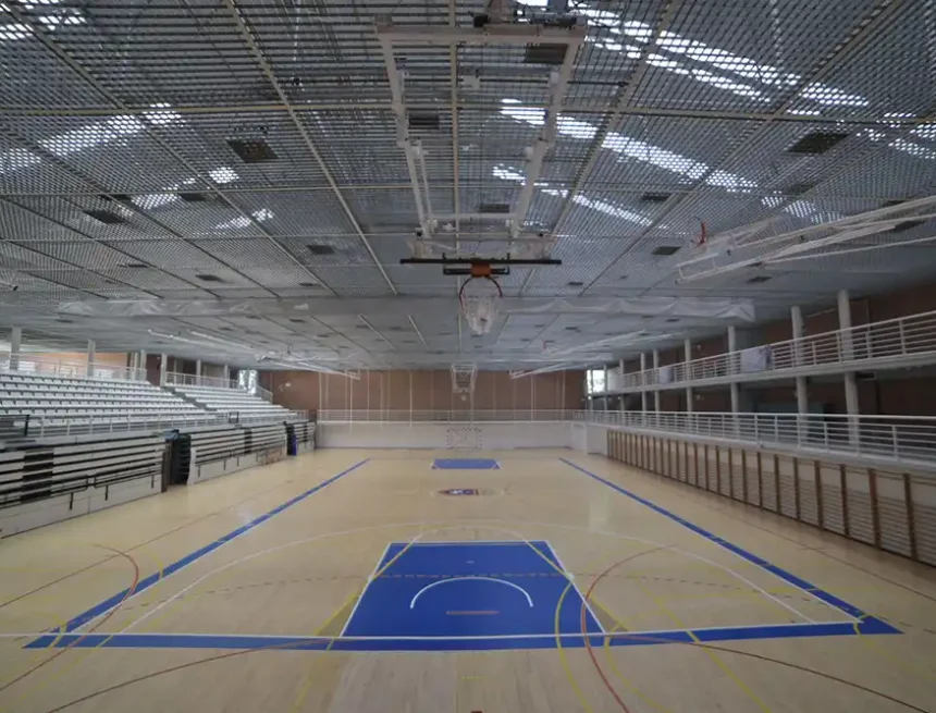 polideportivo arrosadia