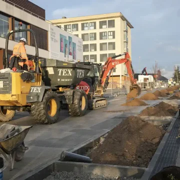 mejoras arbolada avenida Guipuzkoa