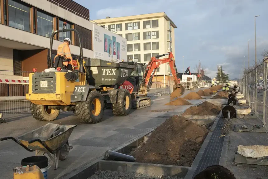 mejoras arbolada avenida Guipuzkoa