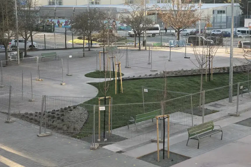 renaturalización patios