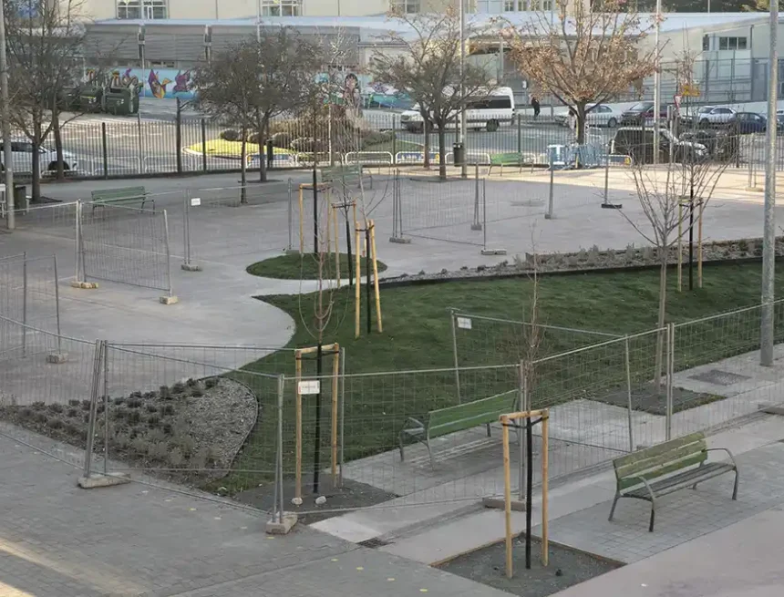 renaturalización patios