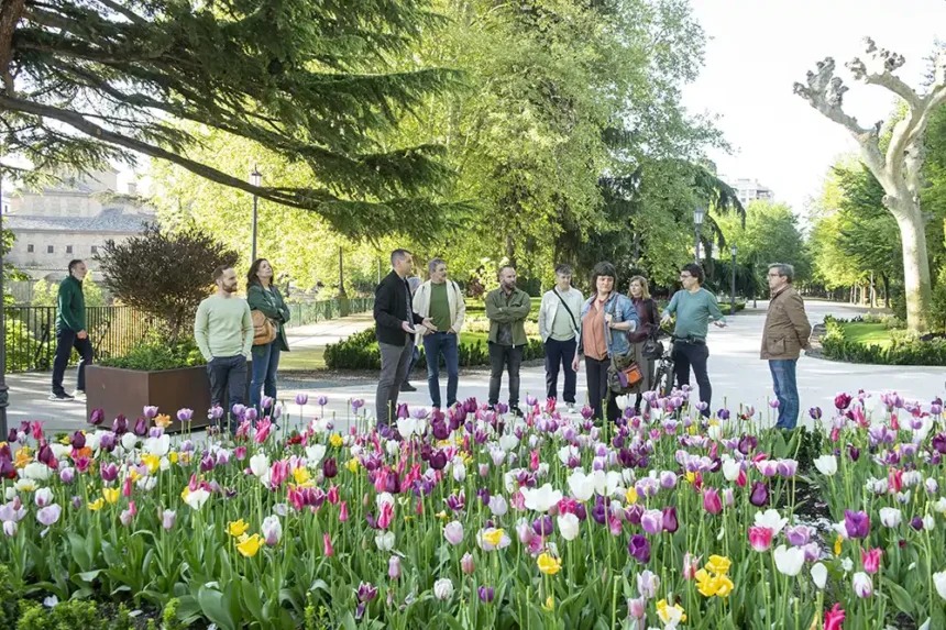visita a la taconera