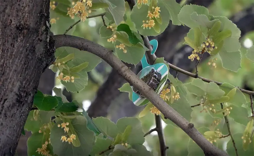 pulgones1web_0 pulgones