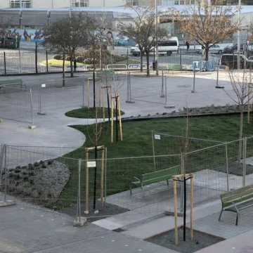 renaturalización patios escolares