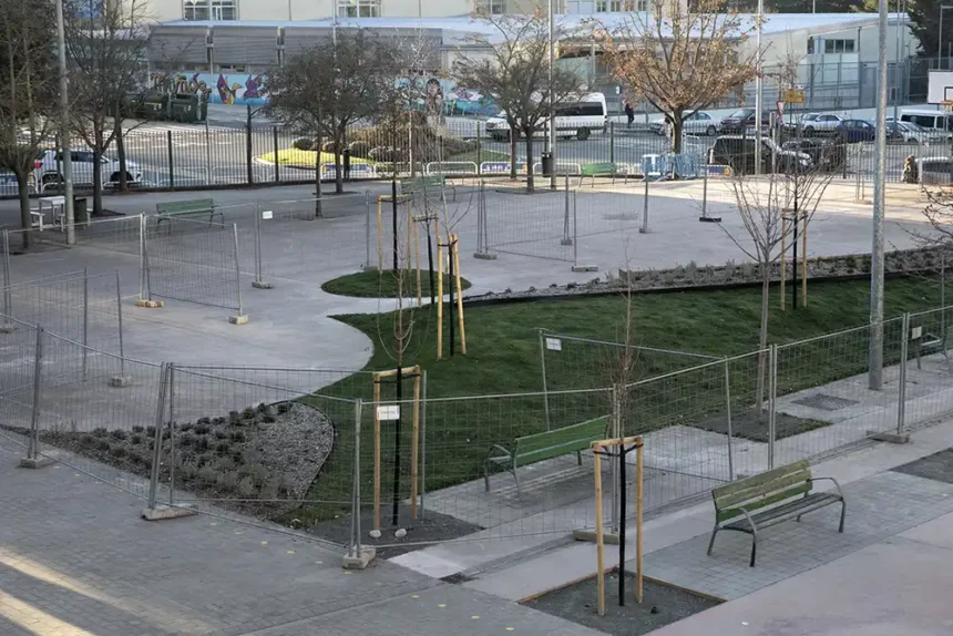 renaturalización patios escolares