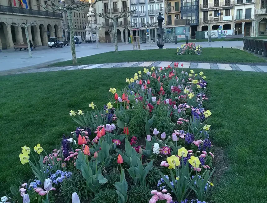 zonas verdes