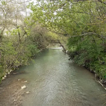 jornada voluntariado ambiental rio Elorz