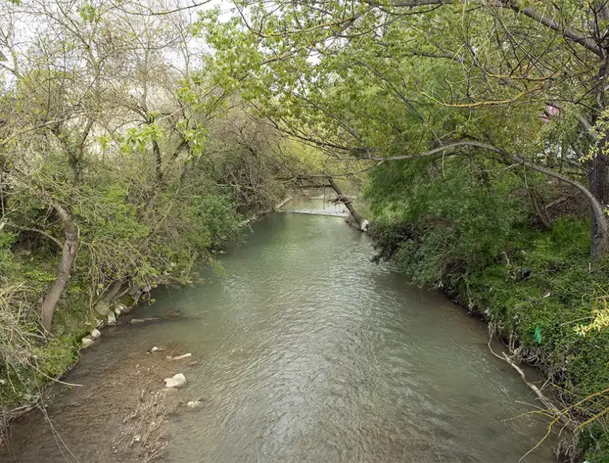 jornada voluntariado ambiental rio Elorz