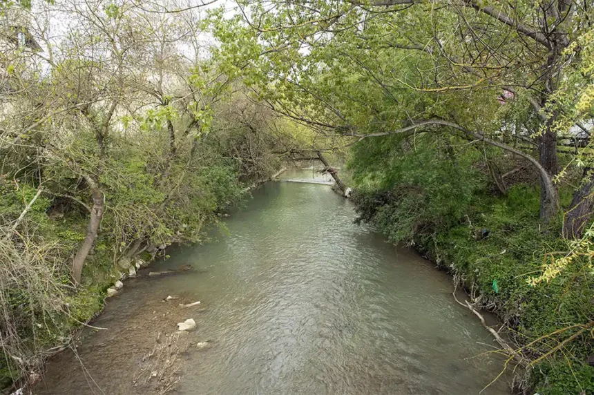 jornada voluntariado río Elorz