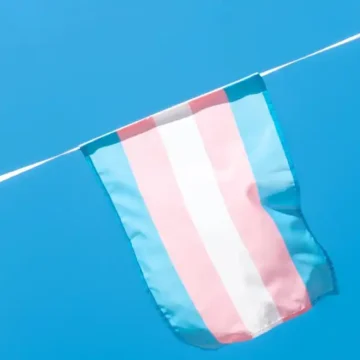 trans octubre