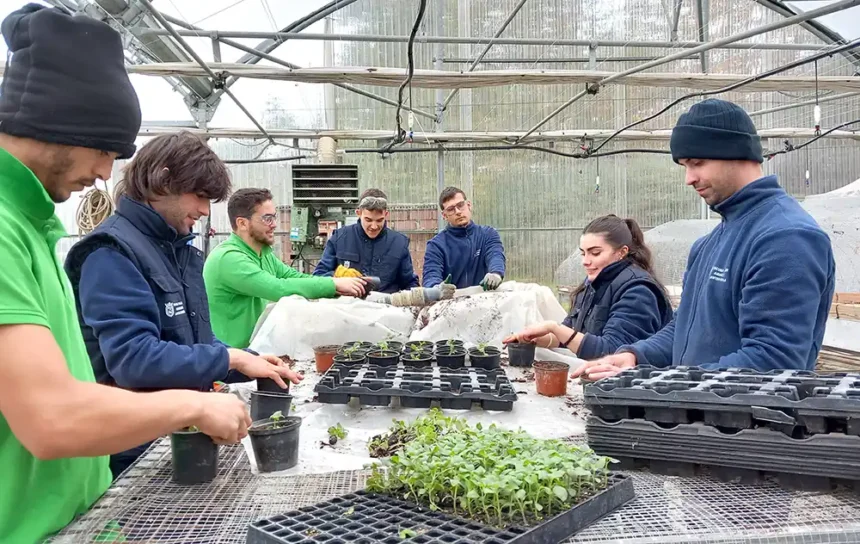 Escuela Taller de Horticultura y Jardinería Escuela Taller de Horticultura y Jardinería