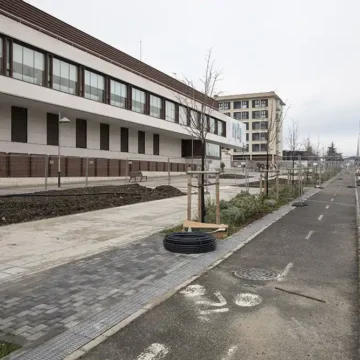 visita obras naturalización avenida Gipuzkoa