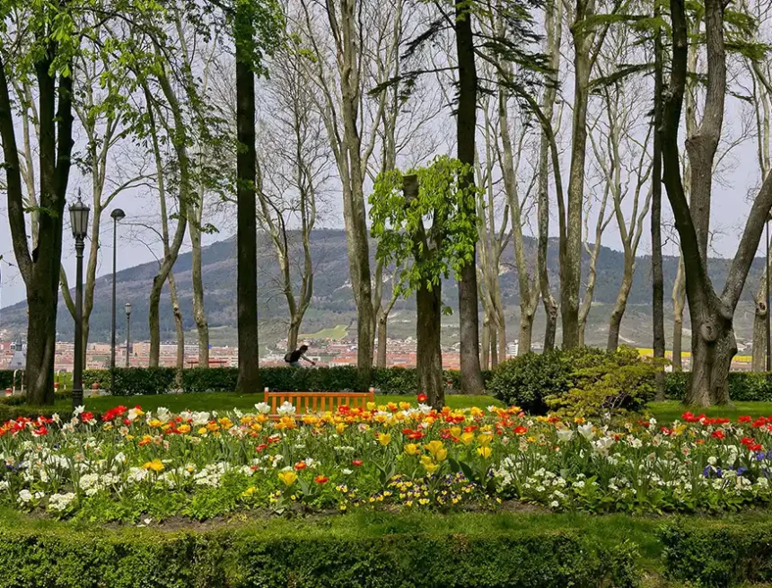 AQS parques