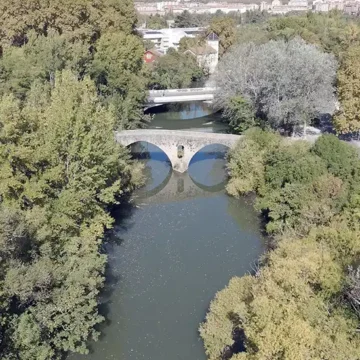 especies invasoras runa