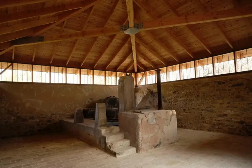 visita molino Ilundain