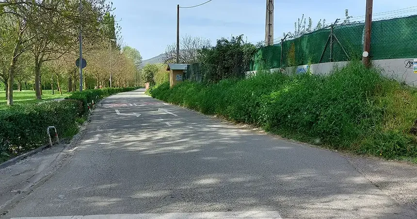 camino de caparroso