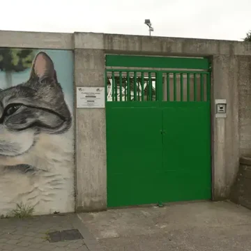 centro atención animales