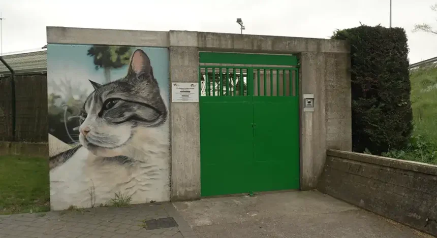 centro atención animales