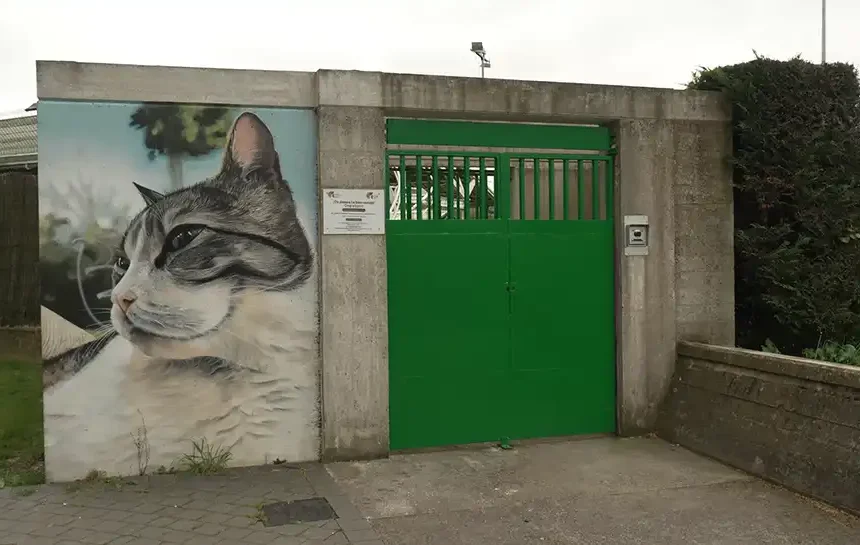 centro atención animales