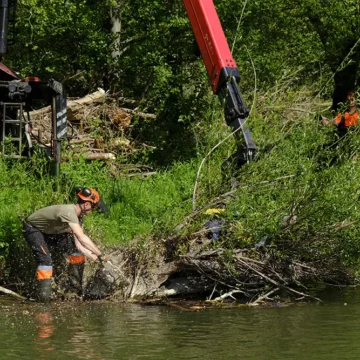 limpieza del río arga