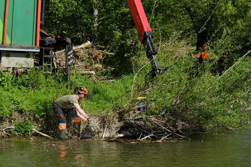 limpieza del río arga